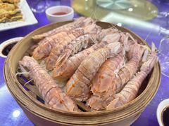 清蒸濑尿虾-广胜通达海鲜食府(黄沙店)