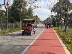 -上海长兴岛郊野公园