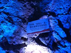 -周口店北京人遗址公园
