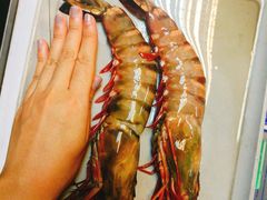 -ZF Seafood Restaurant 卓峰海鲜餐
