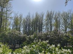 -石家庄市植物园