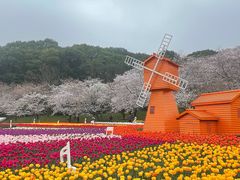 -苏州上方山国家森林公园