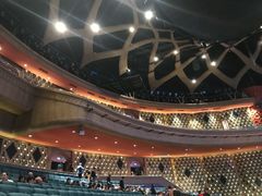 -新疆大剧院