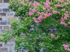 -南京民俗博物馆(甘熙故居)