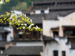 -篁岭景区