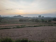 -光明小镇欢乐田园