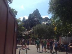 -奥兰多迪士尼动物王国乐园