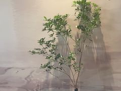 -恒悦轩·粤菜(上海展览中心店)