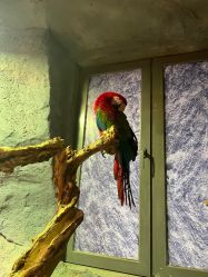 -Zoolung Zoolung动物主题公园(海信广场店)