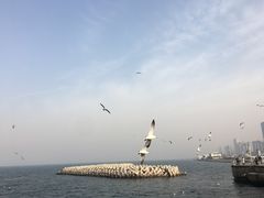 -东港音乐喷泉广场