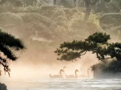 -罗红摄影艺术馆