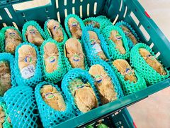 -ZOO COFFEE动物园咖啡(红山森林动物园店)