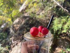 -大岭沟猕猴桃谷风景区