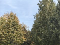 -长春世界雕塑园冰雪艺术天地