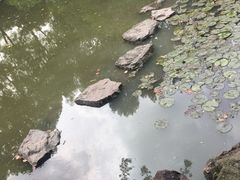 -汇龙潭