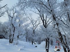 -中旅松花湖滑雪场