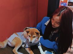 -猫色咖啡·猫咖