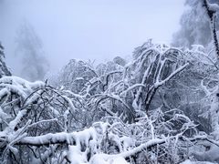 -峨眉山风景名胜区