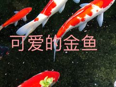 -金海华·华宴江南(斜塘店)