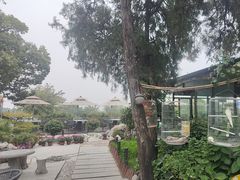 -蘇河湾·新鲁菜·泰山宴(泰山店)