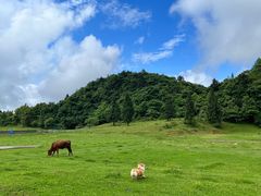 -山王坪喀斯特国家生态公园