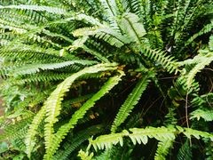 -赤水丹霞旅游区·佛光岩