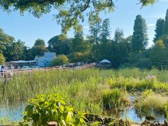 -井之头恩赐公园