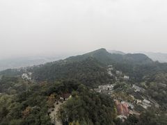 -大金鹰园