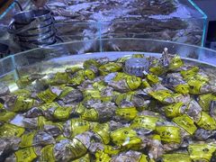 -聚盛源蒸汽海鲜火锅烤肉自助(巨川金海岸购物广场店)