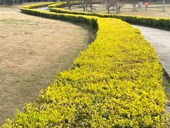 -同济大学(嘉定校区)