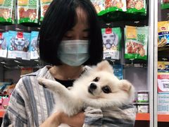 -瑞鹏宠物医院华南总院·夜诊·心脏科·骨科
