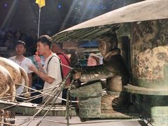 -秦始皇帝陵博物院-丽山园