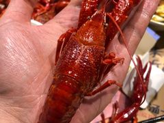 -靓靓蒸虾·头牌蒸虾(南山桂庙店)