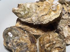 -杨氏青龙虾·羊蝎子(托乐嘉店)