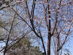 -长春公园(普阳街道)