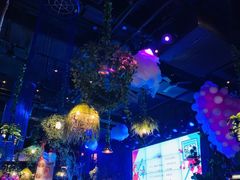 -胡桃里音乐酒馆(石家庄店)