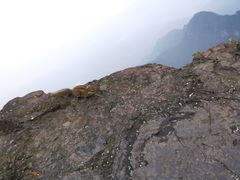 -峨嵋山金顶