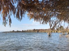 -嘉华鲜花饼·现烤(昆明老街店)