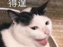 -小金鬼·煎饺·鸽子汤