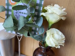 -O'eat Blossom&Pelican(深圳首店)