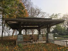 -白塘生态植物园