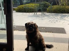 -雅达·阳羡溪山小镇中心