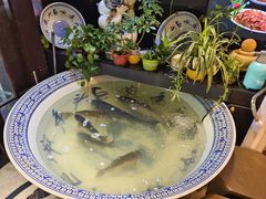 -南京金牛湖巨碗鱼头