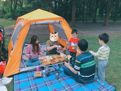 -新发展亚太JW万豪酒店·福苑咖啡厅