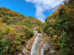 -光雾山旅游景区