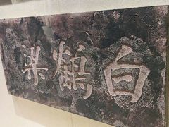 -白鹤梁水下博物馆