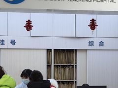 -中国农业大学动物医院