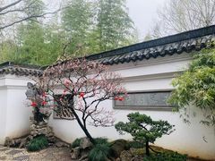 -南园(太仓市)
