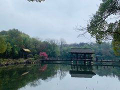 -兰亭风景区