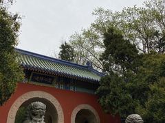 -灵谷景区